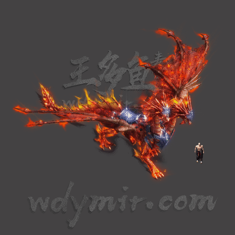 GW-0026 1组飞龙怪物素材